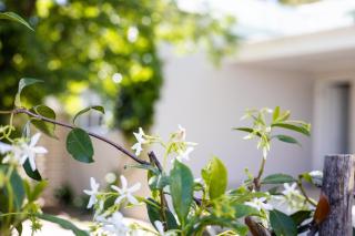 Patryssenvalleij Farm and Cottages - 1