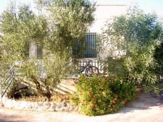 Casa in macchia mediterranea - Taviano - 3