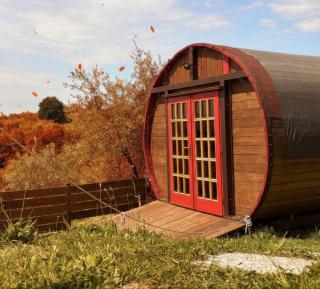 Le Botti Fiorentine - 9