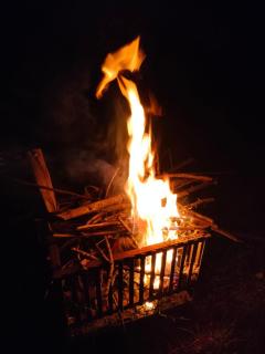 Wild Nest Kotagiri - Kotagiri - 3