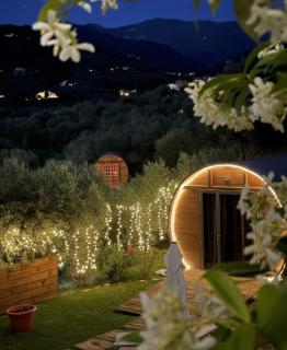 Le Botti Fiorentine - 0