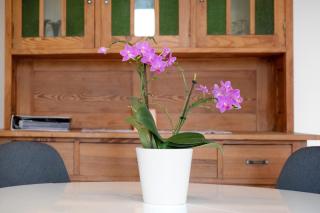 Ferienwohnung Bergblick - 4