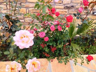 4 Seasons Suites Paradise Athens Airport 2 - 1