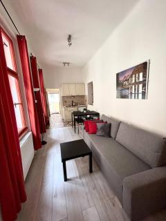 PARTY HOUSE PRAGUE - Apartments Ve Smečkách 18, CITY CENTER!! - 9