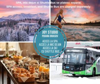 Joy Studio - Poiana Brasov - Silver Resort - 9