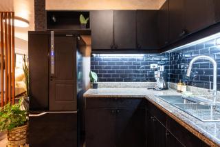 Boutique one-bedroom apartment near airport, business hubs - 3