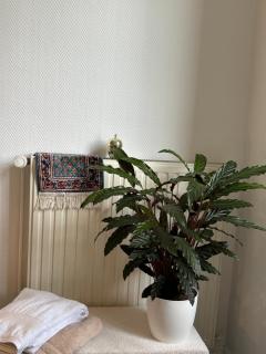 Chambre au centre ville de Strasbourg - 1