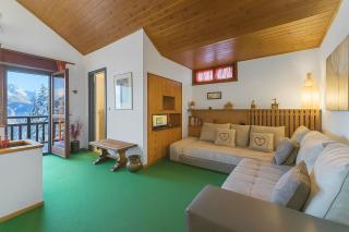 Il Balcone Sulle Alpi ski in ski out - Happy Rentals - 9