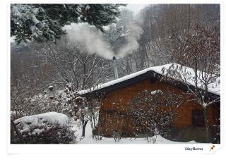 숲속 작은 황토집 - 2