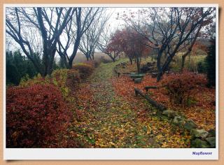 숲속 작은 황토집 - 1