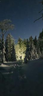 Chopina 6 na zielonym wzgórzu - 8