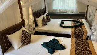 Green Wall House - 6