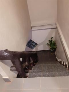 Vinla Guesthouse & Backpackers Hostel - 1