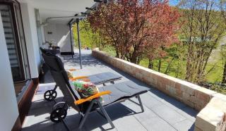 Chalet am Diemelsee - Ferienwohnung mit Terrasse im Sauerland - 2