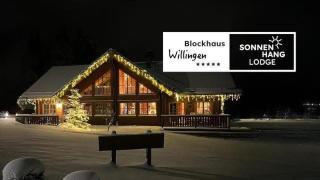 Luxus Blockhaus Willingen Sonnenhang Lodge B - 9