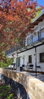 Chalet am Diemelsee - Ferienwohnung mit Terrasse im Sauerland - 3