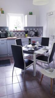 Ferienwohnung am Malchiner See mit Boot und Kanu - 5