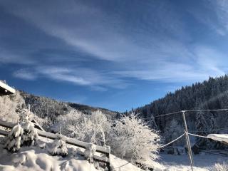 Zrub House Карпати - 1