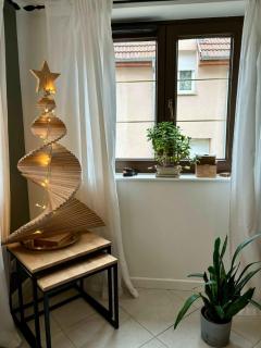 Beautiful apartment of 67 m2 near Strasbourg - Bischheim - 8