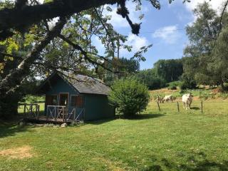 Cabane Au bois du Haut Folin - Saint-Prix - 8