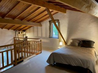 Appartements dans bâtiment historique, au cœur du vieux Voreppe - 7