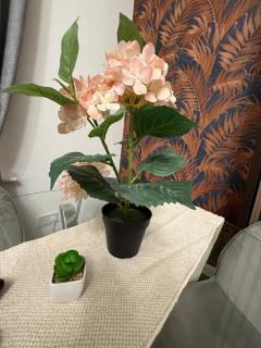 A&A Luxury Stay Rosedale - 4 Bed Residence - 9