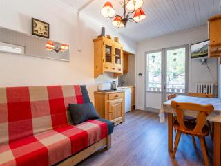 Appartement confortable 2 pièces au cœur de La Clusaz, proche des pistes et des commerces - FR-1-304-7 - 0