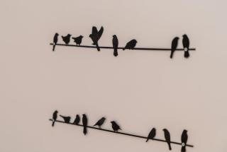 Bonfim View by Portugal Active - 7