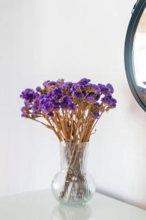 Bonfim View by Portugal Active - Porto - 5