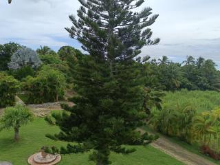 L'ASETA Paradise - 5