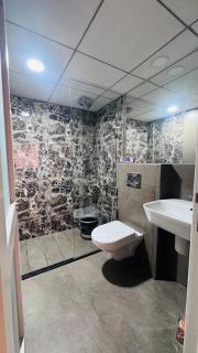 Condor Primrose -6B - 2