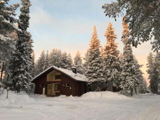 Immelmökit - Levi - 9