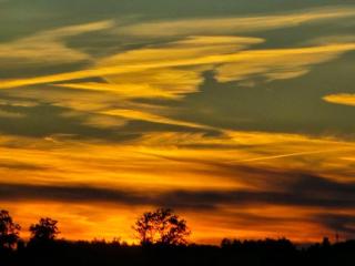Ferienhaus in ruhiger Lage, mit Balkon, Terrasse und eigenem Gartenteil - 9