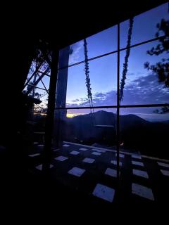 Swingfinity Ella - 5