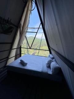 Swingfinity Ella - 5