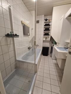 Schwanenstadt Apartment,nice quiet surroundings ! - 2