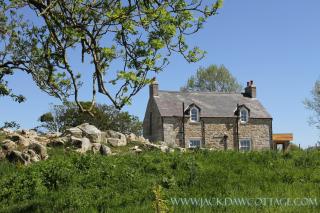 Jackdaw Cottage - 2