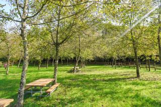 Lunigiana Experience - Pontremoli - 8