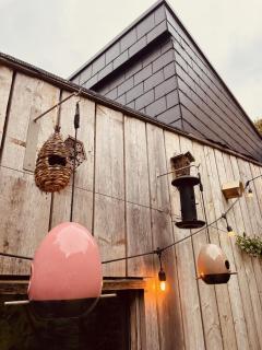 Tiny House The Bird House - 4