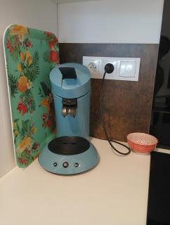 Petite Maison dans le Gers 32 - 1