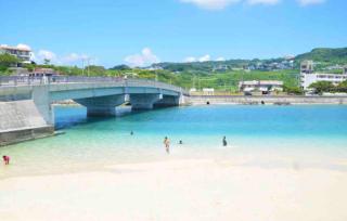 お子様連れ&動物好き大歓迎！産みたての卵を収穫体験できる宿 - 8