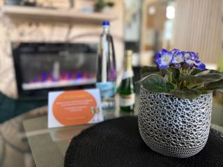 Laguna - Romantic Apartment with Bathtub & Infrared Sauna near Flexum Thermal Spa - 8