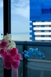 Orbi City Panorama Hotel In Batumi - 3