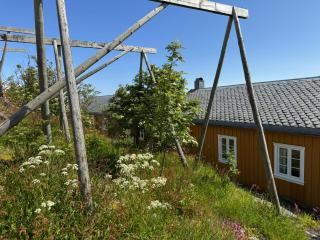 Sakrisøy Rorbuer - Reine - 4