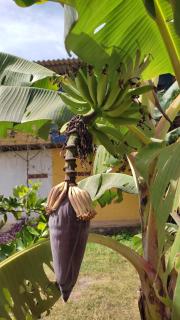 Caminito Brasília Hostel - 1