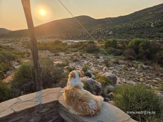 Oudrif Strawbale Retreat - 3