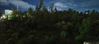 The Yellow House - 7