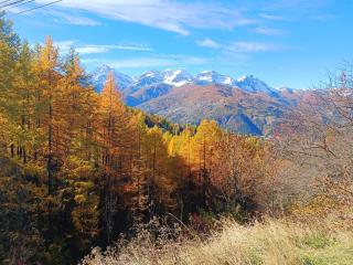 Casa Richardette Relax in the Woods - 3