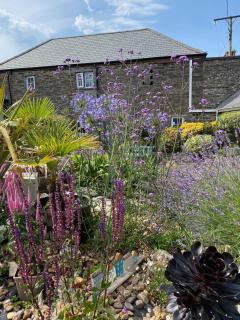 Wren Cottage at Trenale Court Cottages - 8