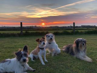 Wren Cottage at Trenale Court Cottages - 2